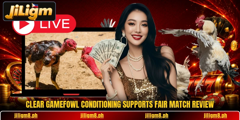 Clear Gamefowl Conditioning supports fair match review Clear Gamefowl Conditioning supports fair match review