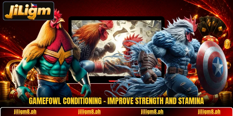Gamefowl Conditioning - Improve Strength And Stamina